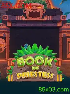 Explorando o Universo de 'BookOfPriestess'