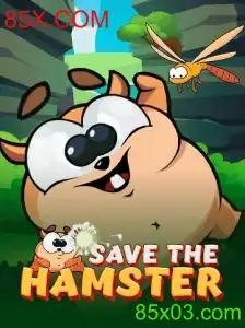 Descubra SavetheHamster: Um Novo Jogo de Estratégia para Todas as Idades